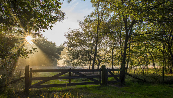 Twents landschap