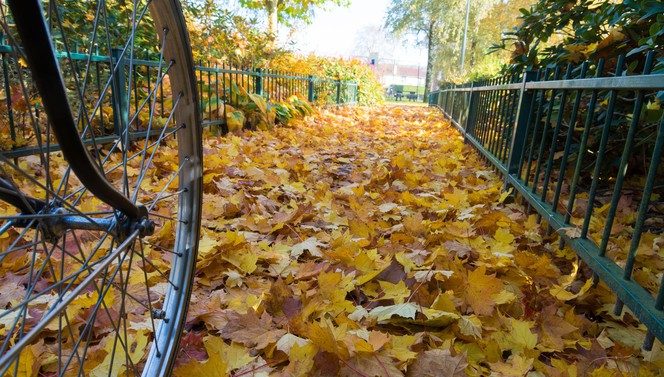 Herfst