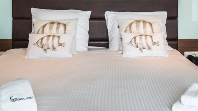 Whirlpool suite Van der Valk Theaterhotel Almelo