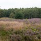 Fahrradtour Almelo