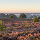 Bike tour Hellendoorn