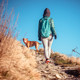 Hunde