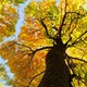 Sustainability