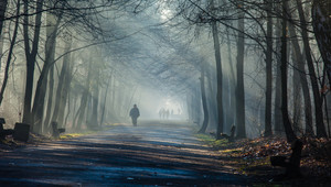 Geniet van de prachtige laan 'De Gravenallee'